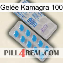 Gelée Kamagra 100 new15